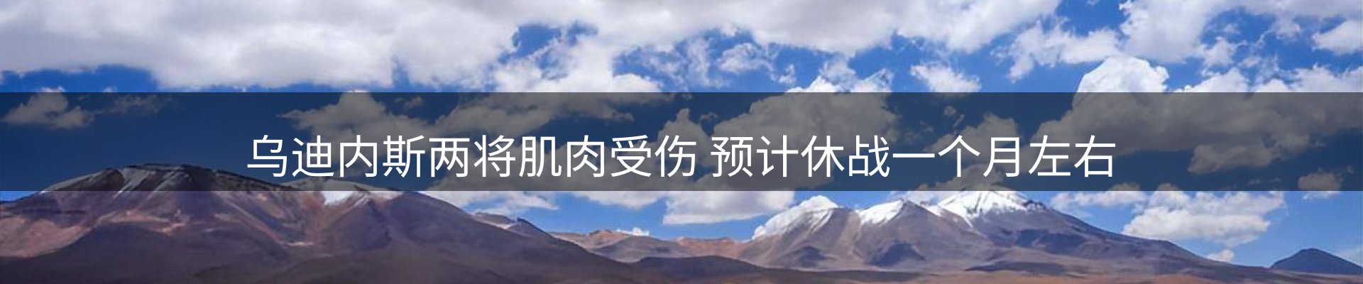 新闻动态