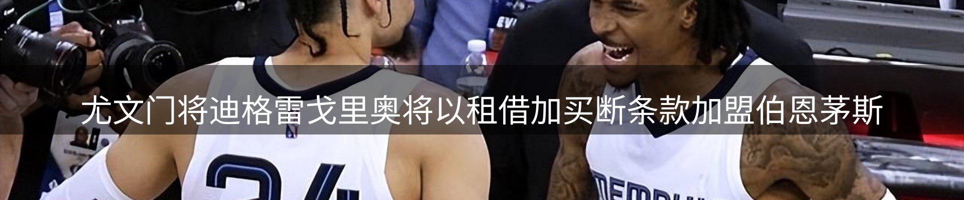 新闻动态