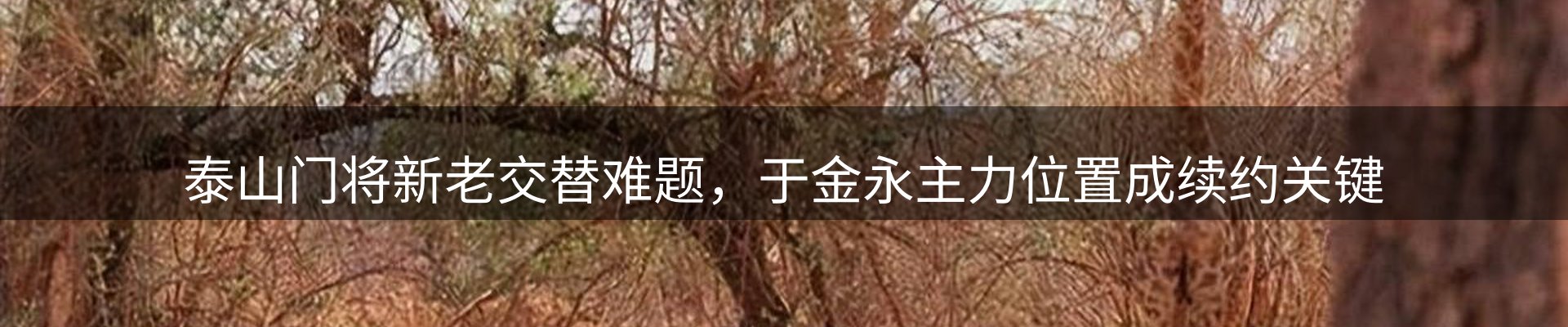 新闻动态